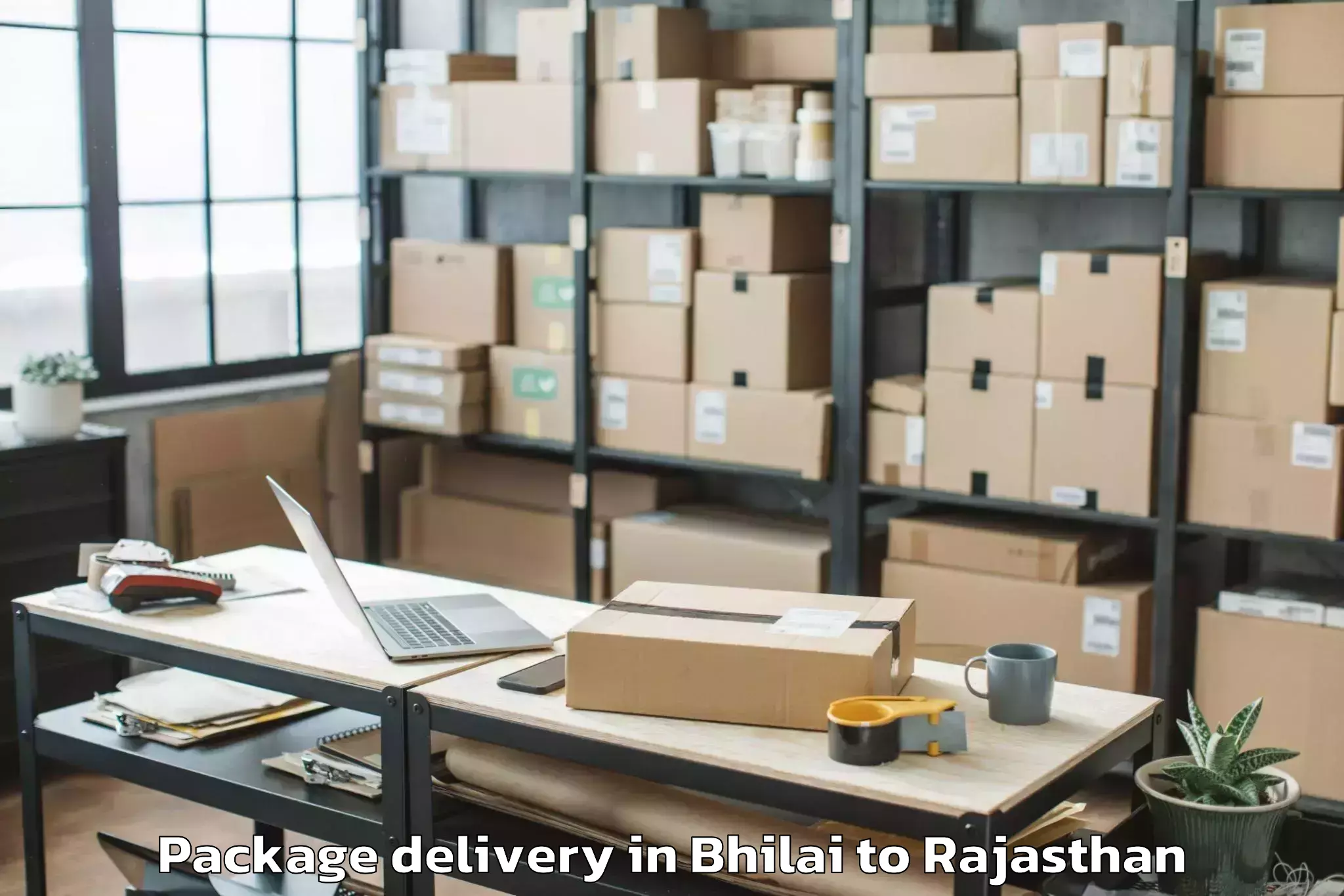 Professional Bhilai to Kishangarh Bas Package Delivery